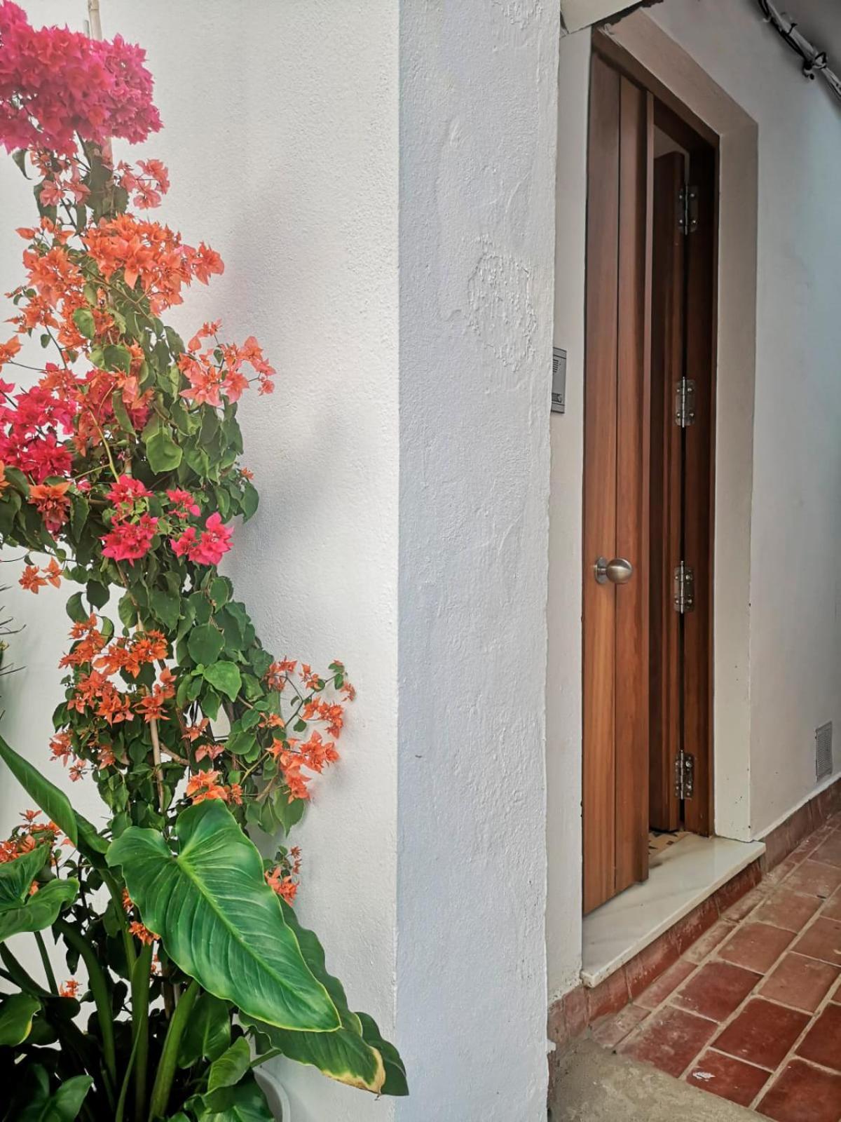 Erizo 3 Loft Diafano En El Centro Historico Διαμέρισμα Ταρίφα Εξωτερικό φωτογραφία